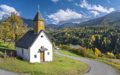 Nunc Volutpat Venenatis