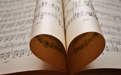 Maecenas Fringilla Augue