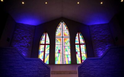 Vestibulum Nisl Felis